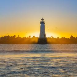 Tybee Island 278 cheap hotels