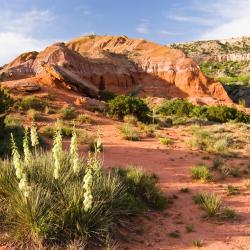 Amarillo 97 hotels with parking