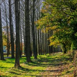 Cassano Magnago 5 B&Bs