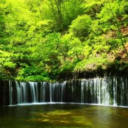 軽井沢町 10軒のゲストハウス