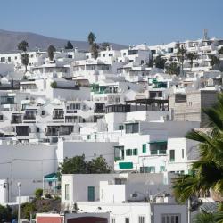 Cactus, Puerto del Carmen (updated prices 2026)
