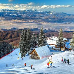 Poiana Brasov 25 guest houses