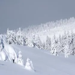 Kopaonik 10 guest houses