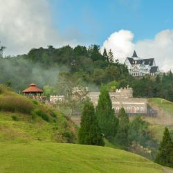 Renai 6 guest houses