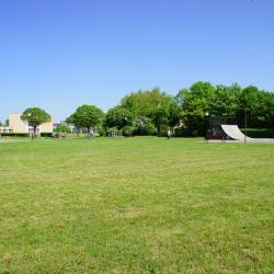 Strzelce Opolskie 11 hotels with parking