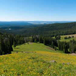 Nassogne 3 hot&eacute;is com piscina