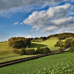 Glasbury 4 bed and breakfasts