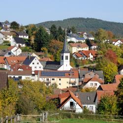 Wald-Michelbach 8 pet-friendly hotels