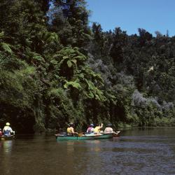 Taumarunui 7 cottages