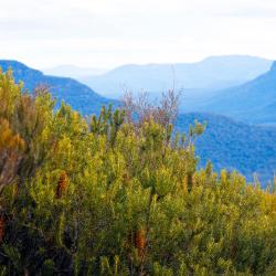 Mount Victoria 4 family hotels