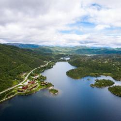 Vågsli 13家别墅