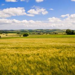 Oldmeldrum 3 family hotels
