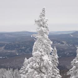 Saint-Sauveur-des-Monts 30 hoteles