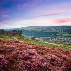 Ilkley 3 B&Bs