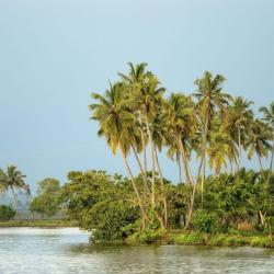 Nedumbassery 89 hotels