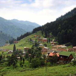 Ayder Yaylasi 13 chalets