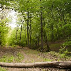 奧沙克 7 間自炊式住宿