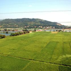 Qingyuan 4 luxury hotels