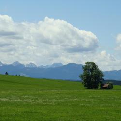 Weilheim in Oberbayern 3 family hotels