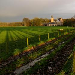 Dalfsen 3 glamping sites