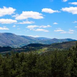 Ribeira de Pena 12 of the cottages