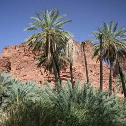 AlUla 6 cabins