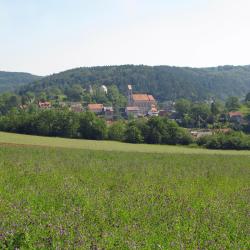 Simonswald 24 cheap hotels