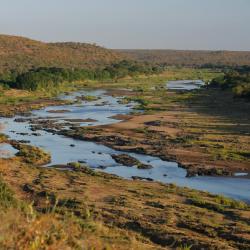 Balule Game Reserve 17 hotels