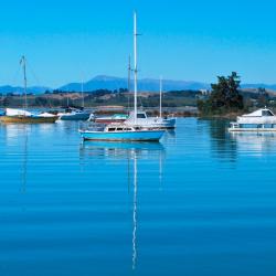 Motueka 46 hotels with parking