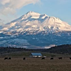 Mount Shasta 18 hoteller