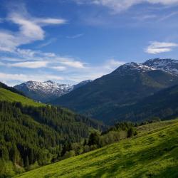 Ried im Zillertal 51 hoteller