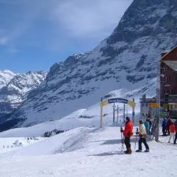 Scheidegg 50 apartments