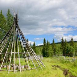 Leppäjärvi 2 hoteluri