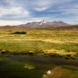 Oruro