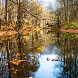 Bolu 5 spa oteli