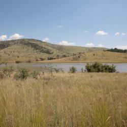 Boshoek 6 hotels