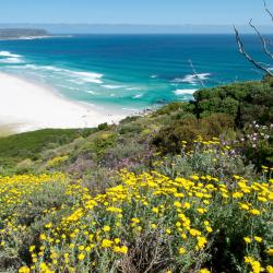 Noordhoek 21 hotels with parking