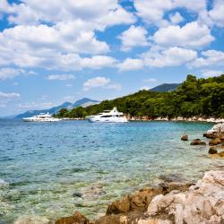 Molunat 51 cheap hotels