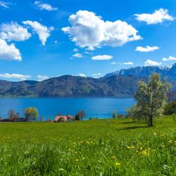 Nussdorf am Attersee 21 hotels with parking
