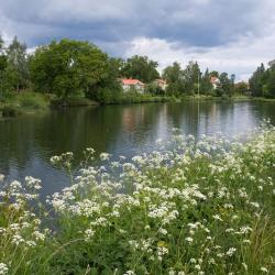Motala 17 of the holiday rentals