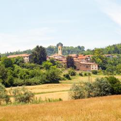 Camino 3 апартаментів