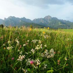 Hopfgarten im Brixental 4 Wellnesshotels