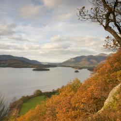 Bassenthwaite 5 of the cabins