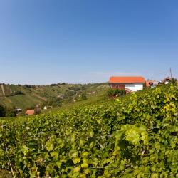 Lesce 20 apartments