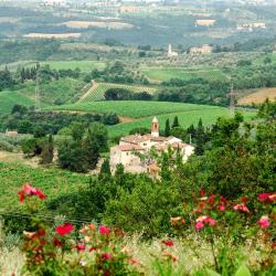 Montefiridolfi 3 villas