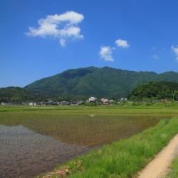 Yahiko 2 hotel