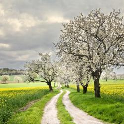 G&oacute;ra Świętej Anny 3 hotele z wannami z hydromasażem