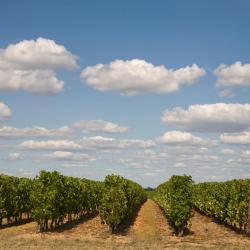 Brissac-Quincé 5 holiday rentals