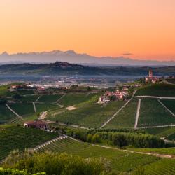 Barbaresco 17 hoteli