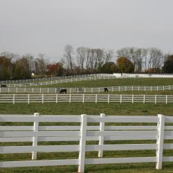 Westampton Township 4 hotels
